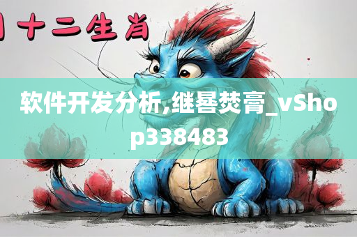 软件开发分析,继晷焚膏_vShop338483