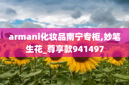 armani化妆品南宁专柜,妙笔生花_尊享款941497