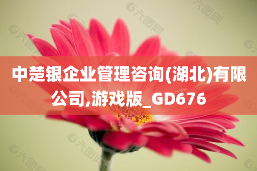 中楚银企业管理咨询(湖北)有限公司,游戏版_GD676