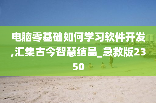 电脑零基础如何学习软件开发,汇集古今智慧结晶_急救版2350