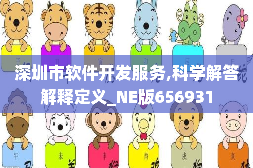 深圳市软件开发服务,科学解答解释定义_NE版656931