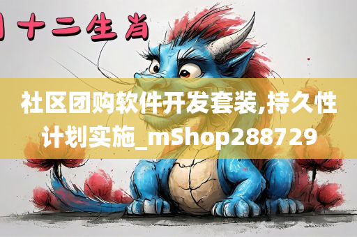 社区团购软件开发套装,持久性计划实施_mShop288729