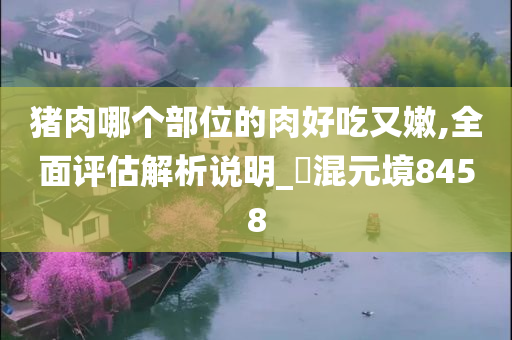 猪肉哪个部位的肉好吃又嫩,全面评估解析说明_‌混元境8458