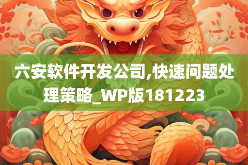 六安软件开发公司,快速问题处理策略_WP版181223