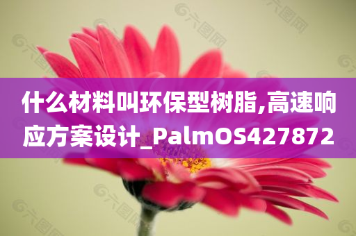 什么材料叫环保型树脂,高速响应方案设计_PalmOS427872