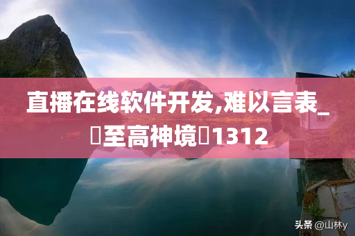 直播在线软件开发,难以言表_‌至高神境‌1312