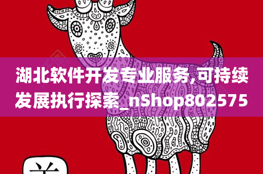 湖北软件开发专业服务,可持续发展执行探索_nShop802575