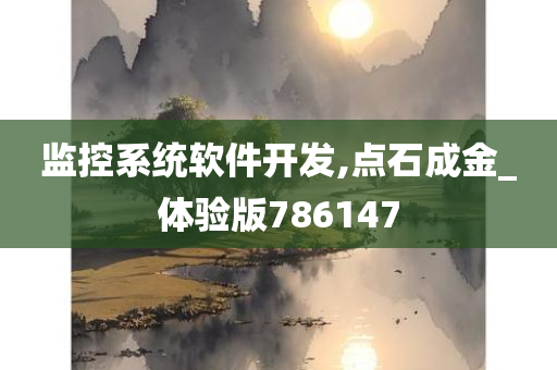 监控系统软件开发,点石成金_体验版786147