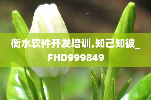 衡水软件开发培训,知己知彼_FHD999849