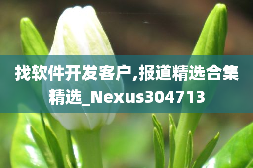 找软件开发客户,报道精选合集精选_Nexus304713