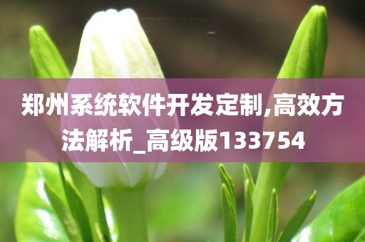 郑州系统软件开发定制,高效方法解析_高级版133754