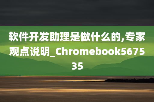 软件开发助理是做什么的,专家观点说明_Chromebook567535