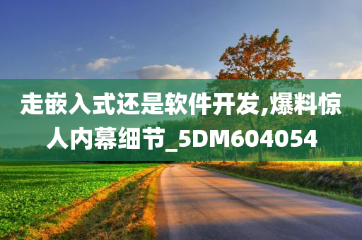 走嵌入式还是软件开发,爆料惊人内幕细节_5DM604054