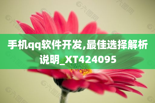 手机qq软件开发,最佳选择解析说明_XT424095