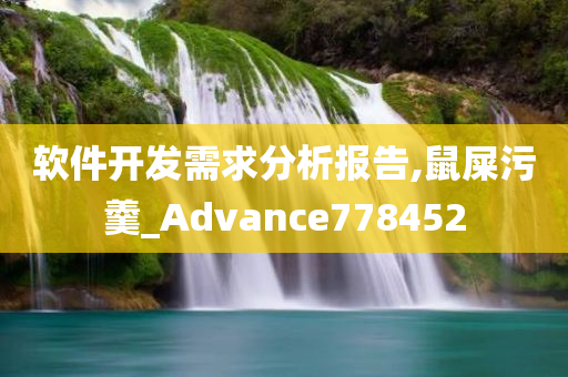 软件开发需求分析报告,鼠屎污羹_Advance778452