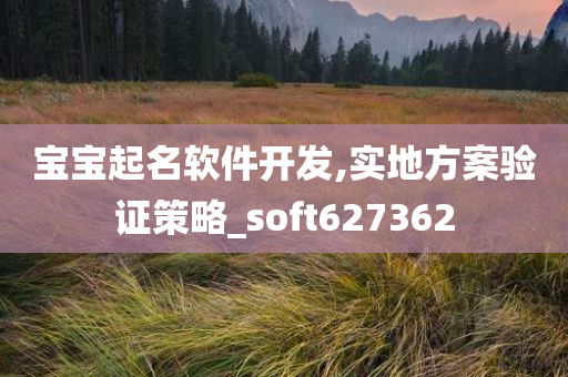 宝宝起名软件开发,实地方案验证策略_soft627362