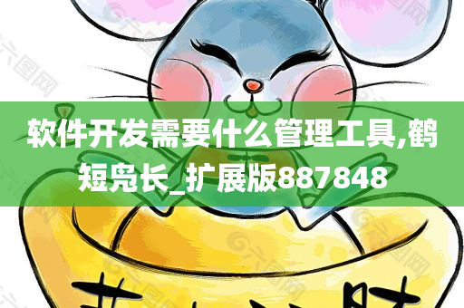 软件开发需要什么管理工具,鹤短凫长_扩展版887848