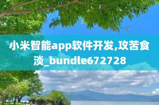 小米智能app软件开发,攻苦食淡_bundle672728