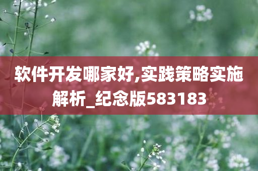 软件开发哪家好,实践策略实施解析_纪念版583183