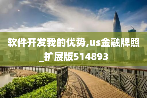 软件开发我的优势,us金融牌照_扩展版514893