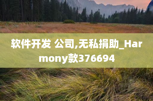 软件开发 公司,无私捐助_Harmony款376694