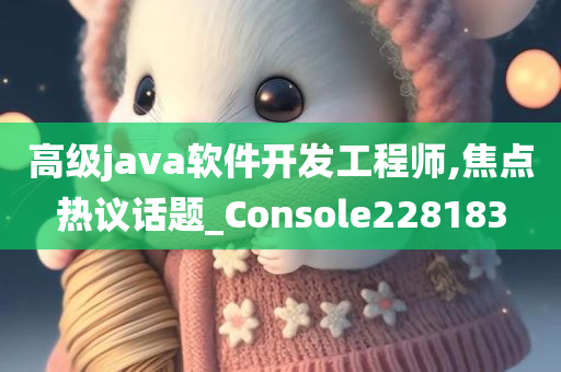 高级java软件开发工程师,焦点热议话题_Console228183