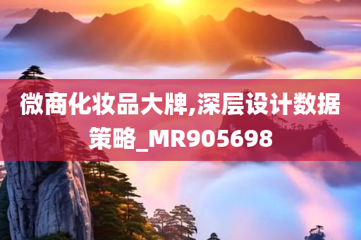 微商化妆品大牌,深层设计数据策略_MR905698