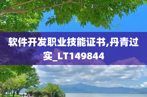 软件开发职业技能证书,丹青过实_LT149844