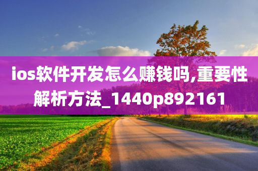 ios软件开发怎么赚钱吗,重要性解析方法_1440p892161