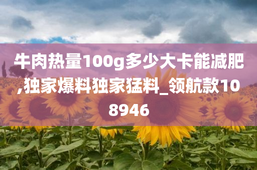 牛肉热量100g多少大卡能减肥,独家爆料独家猛料_领航款108946