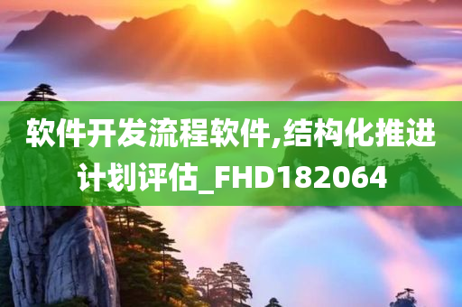 软件开发流程软件,结构化推进计划评估_FHD182064