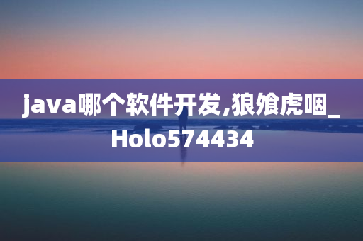 java哪个软件开发,狼飧虎咽_Holo574434