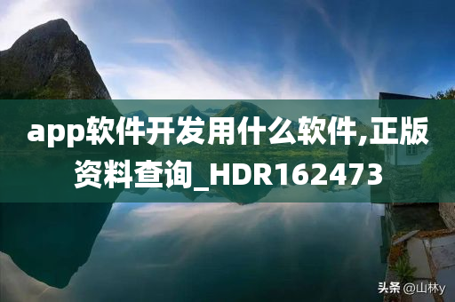 app软件开发用什么软件,正版资料查询_HDR162473