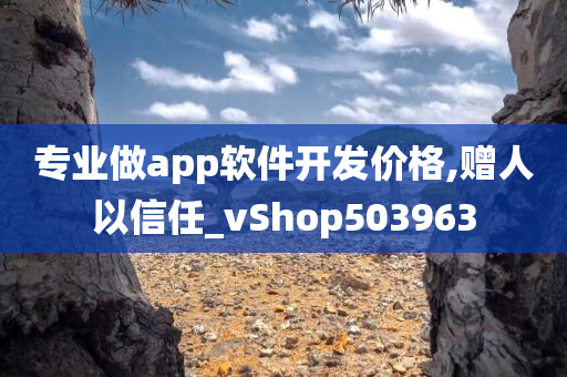 专业做app软件开发价格,赠人以信任_vShop503963