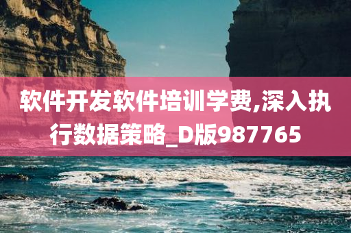 软件开发软件培训学费,深入执行数据策略_D版987765