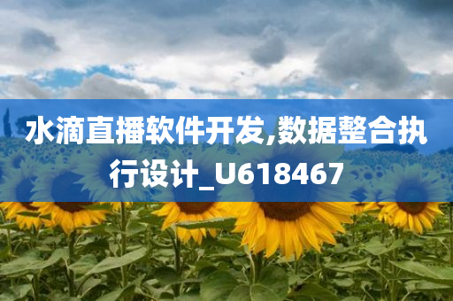 水滴直播软件开发,数据整合执行设计_U618467