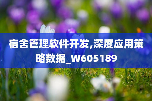 宿舍管理软件开发,深度应用策略数据_W605189