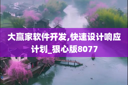 大赢家软件开发,快速设计响应计划_狠心版8077