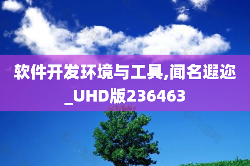 软件开发环境与工具,闻名遐迩_UHD版236463