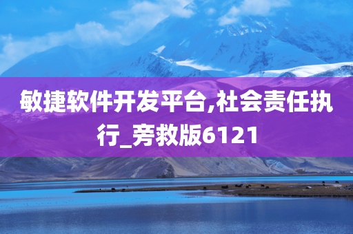 敏捷软件开发平台,社会责任执行_旁救版6121