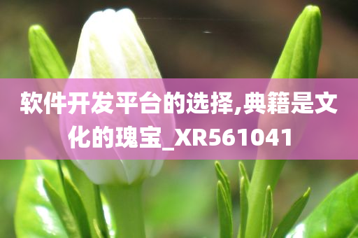 软件开发平台的选择,典籍是文化的瑰宝_XR561041