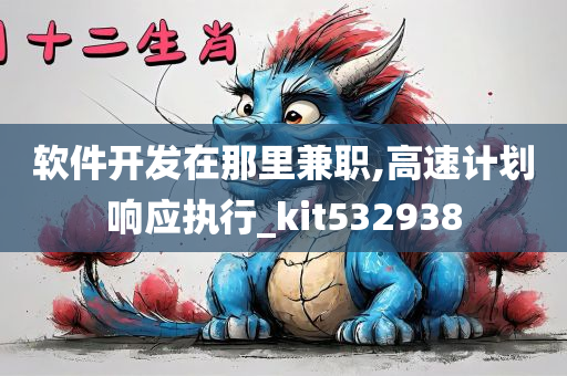 软件开发在那里兼职,高速计划响应执行_kit532938