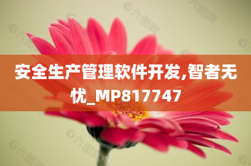 安全生产管理软件开发,智者无忧_MP817747