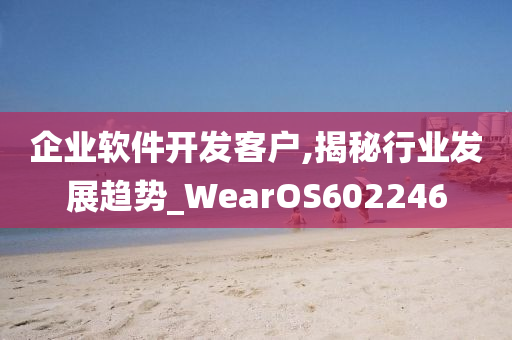 企业软件开发客户,揭秘行业发展趋势_WearOS602246