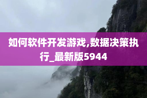 如何软件开发游戏,数据决策执行_最新版5944