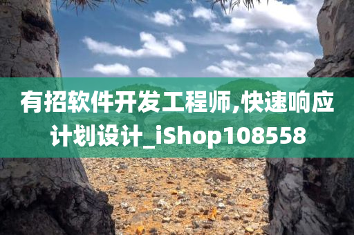 有招软件开发工程师,快速响应计划设计_iShop108558