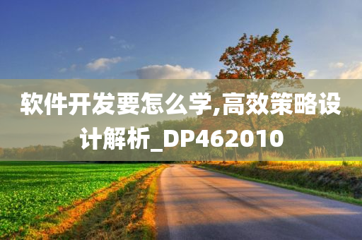 软件开发要怎么学,高效策略设计解析_DP462010