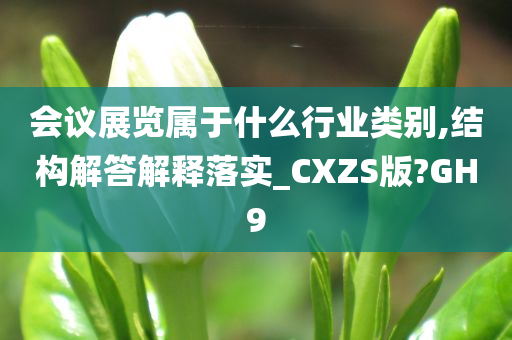 会议展览属于什么行业类别,结构解答解释落实_CXZS版?GH9