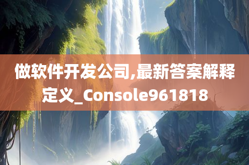 做软件开发公司,最新答案解释定义_Console961818