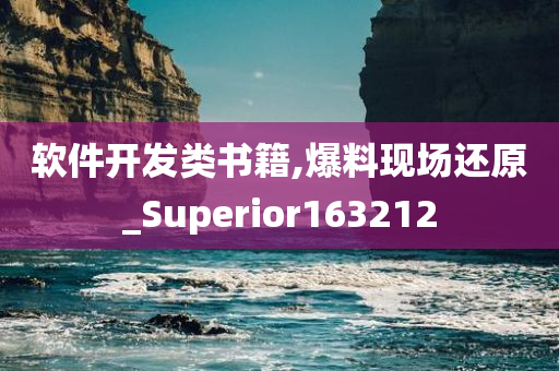 软件开发类书籍,爆料现场还原_Superior163212